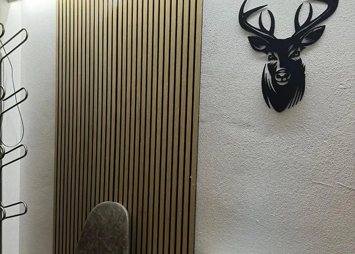 An Der Schmittenhohe 木屋 滨湖采尔